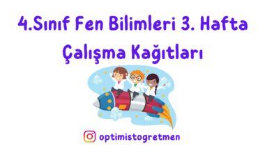 4. Sınıf Fen Bilimleri 3. Hafta Çalışma Kağıdı