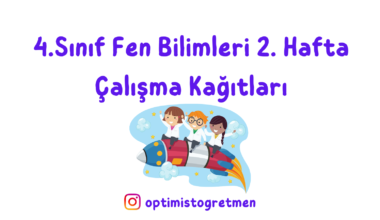 4. Sınıf Fen Bilimleri 2. Hafta Çalışma Kağıdı