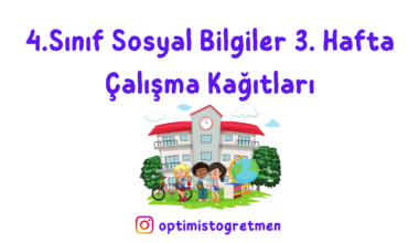 4. Sınıf Sosyal Bilgiler 3. Hafta Çalışma Kağıdı