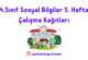 4. Sınıf Sosyal Bilgiler 5. Hafta Çalışma Kağıdı