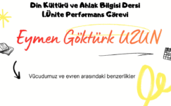 İnsan ve Evren Benzerlikleri Slayt